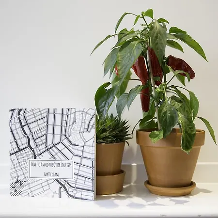 Bloemgracht Panzió 4*