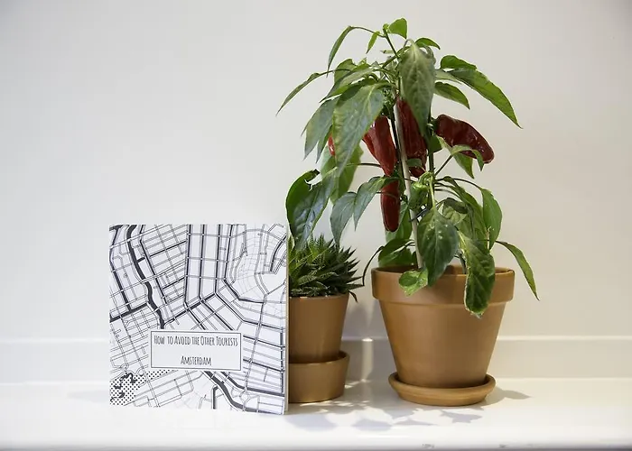 Bloemgracht Bed & Breakfast 4*